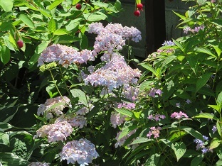 f0325309_17024593.jpg