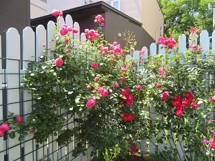 f0325309_17050081.jpg