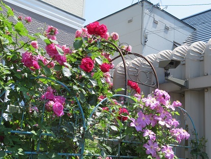 f0325309_17062966.jpg