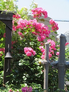 f0325309_17094452.jpg