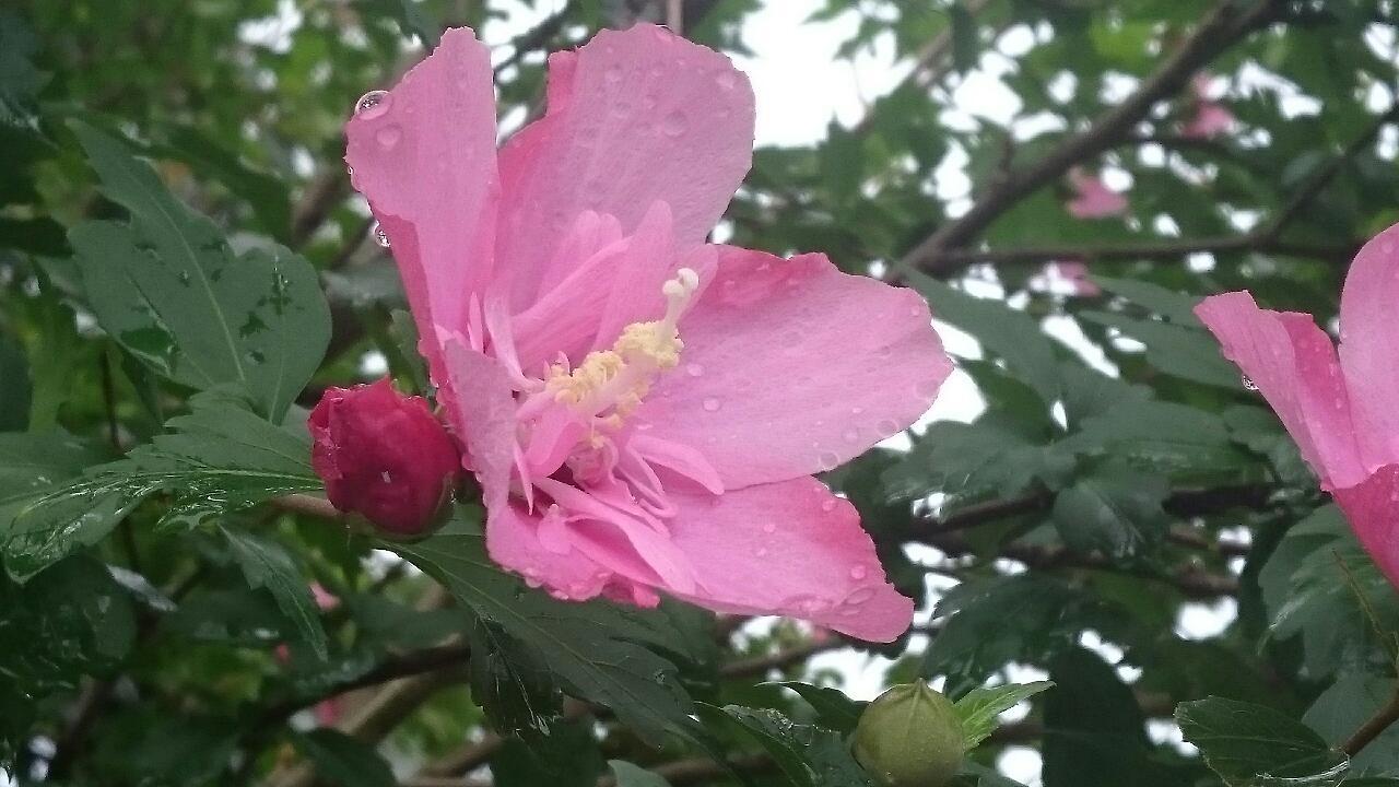 e0350415_22401930.jpg
