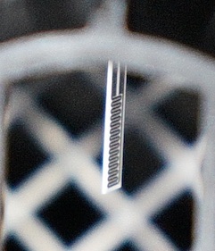 d0106518_1710761.jpg