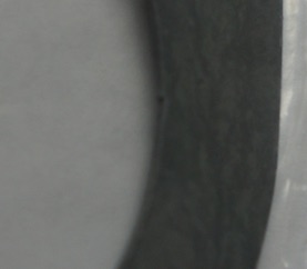 d0106518_17195175.jpg