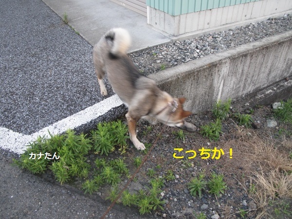 f0143123_10120660.jpg