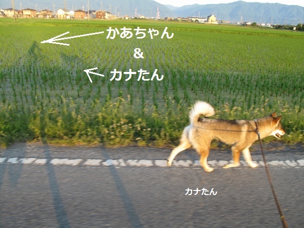 f0143123_10122748.jpg