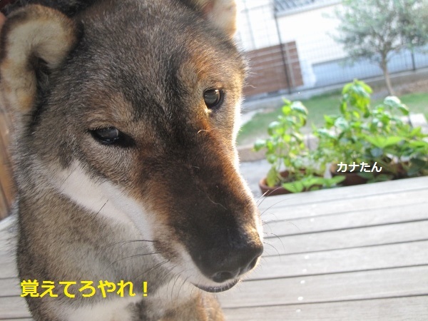 f0143123_10312029.jpg