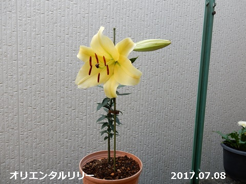 e0033229_183753.jpg