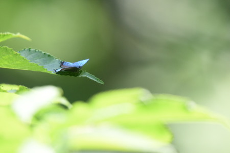 c0353632_16215779.jpg