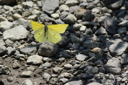 c0353632_16394159.jpg
