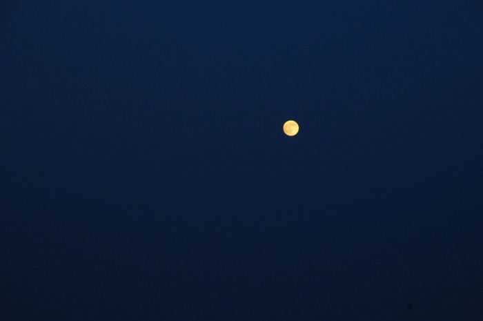 c0172234_22363021.jpg
