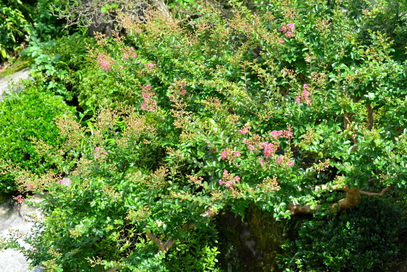 e0056537_14482696.jpg