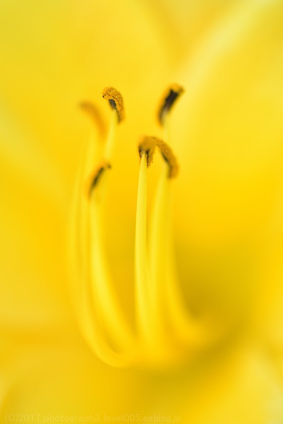 e0362037_21062663.jpg