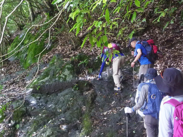 e0371039_13405289.gif