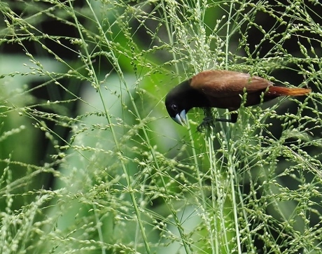 a0248540_11445559.jpg