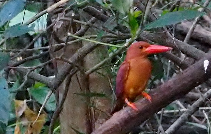 a0248540_11503106.jpg