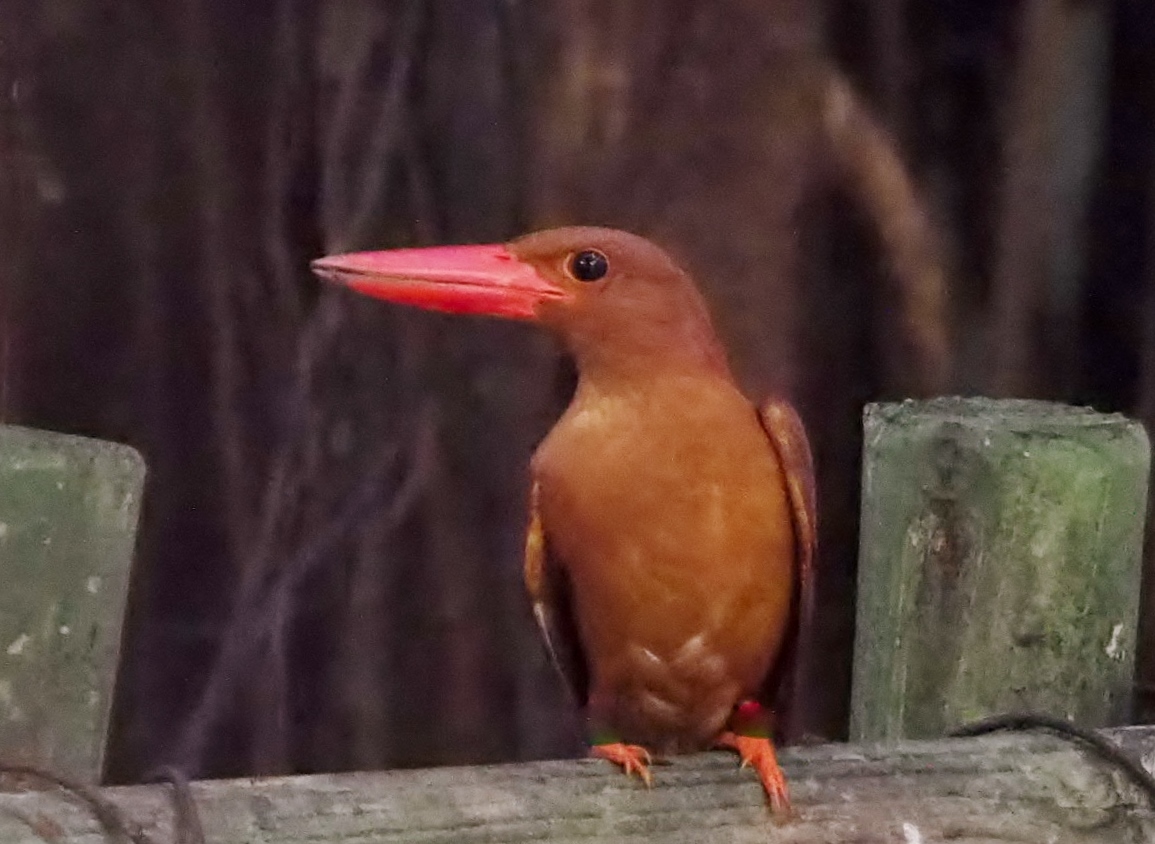 a0248540_11513881.jpg