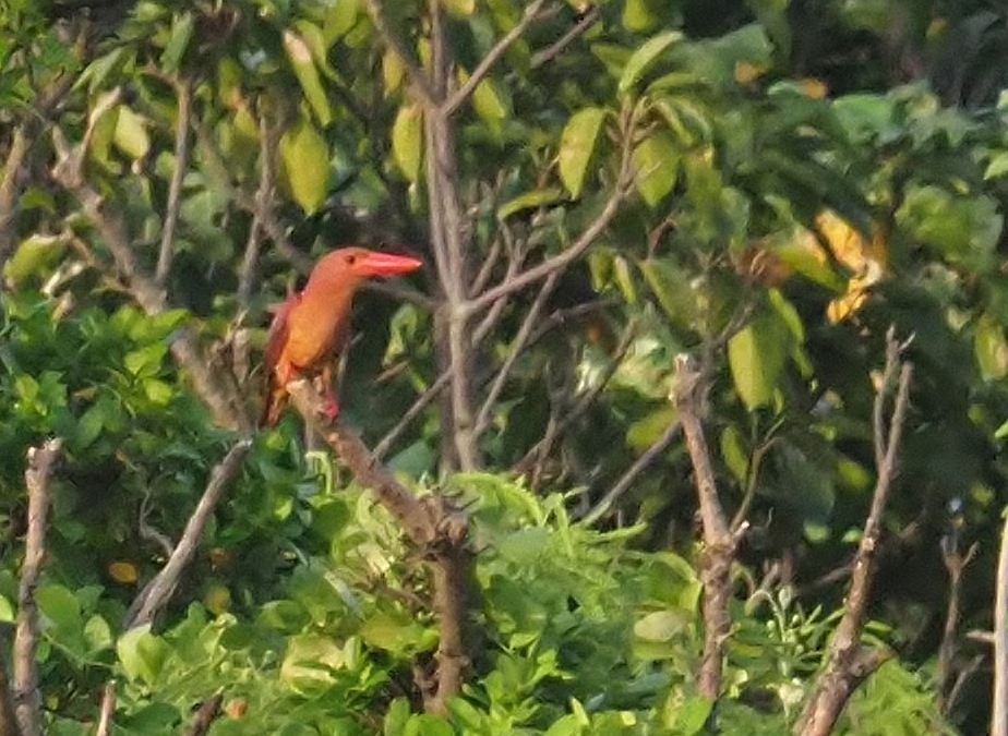 a0248540_11530606.jpg