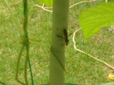 c0330749_17315762.jpg