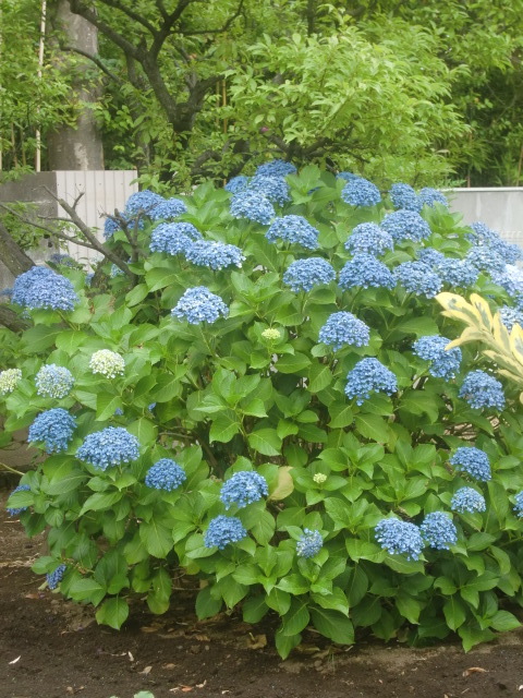 f0329849_13541397.jpg
