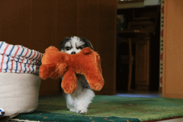 c0145250_16274863.gif