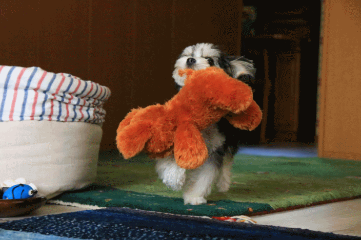 c0145250_16280277.gif