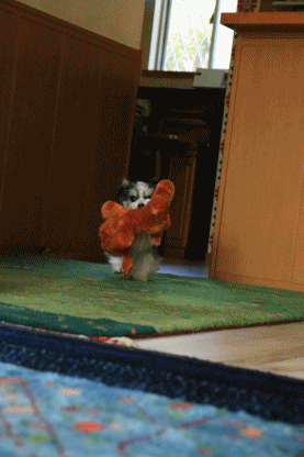 c0145250_16282068.gif