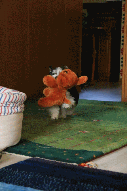 c0145250_16283777.gif