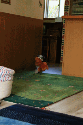 c0145250_16285333.gif