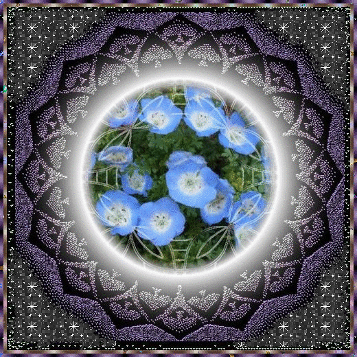 b0133752_20570318.gif