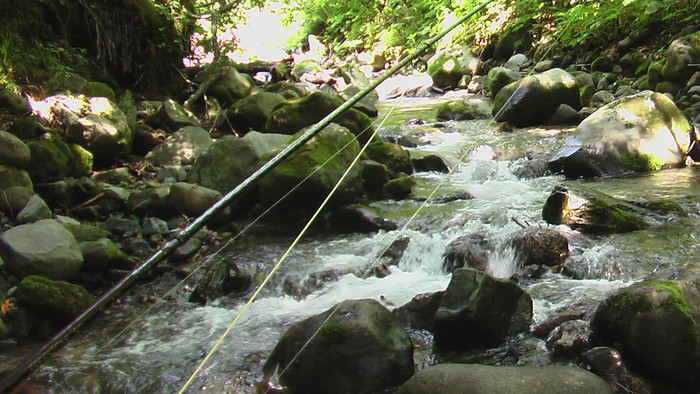 b0208961_16503331.jpg