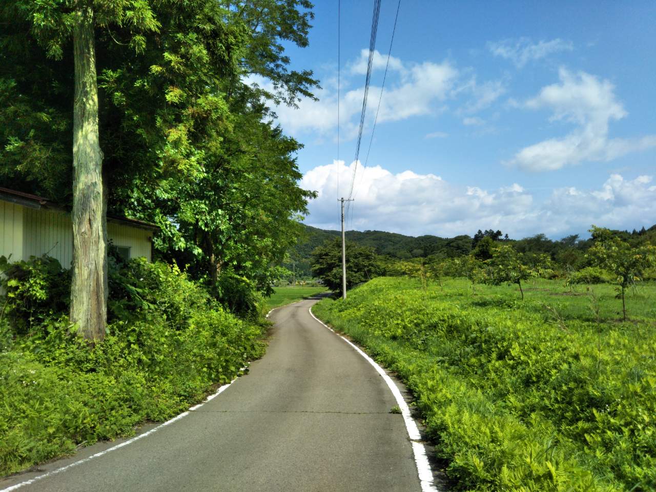 f0208665_11102967.jpg
