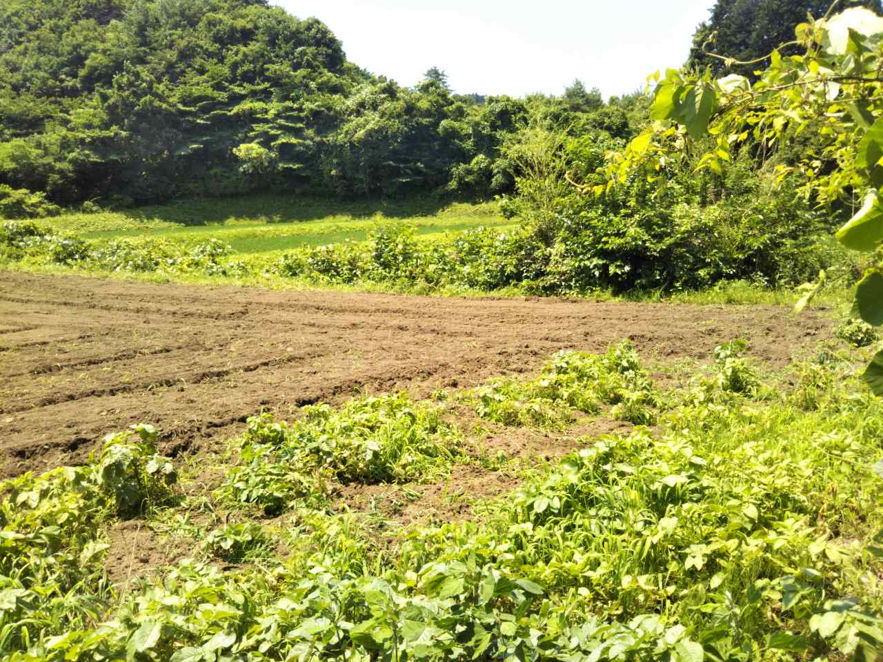 f0208665_11102982.jpg