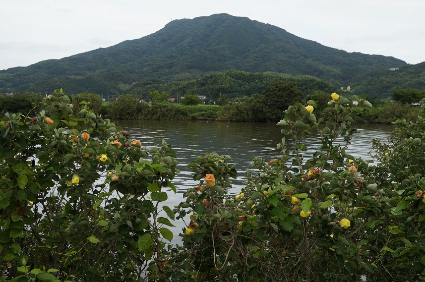 f0016066_15525368.jpg