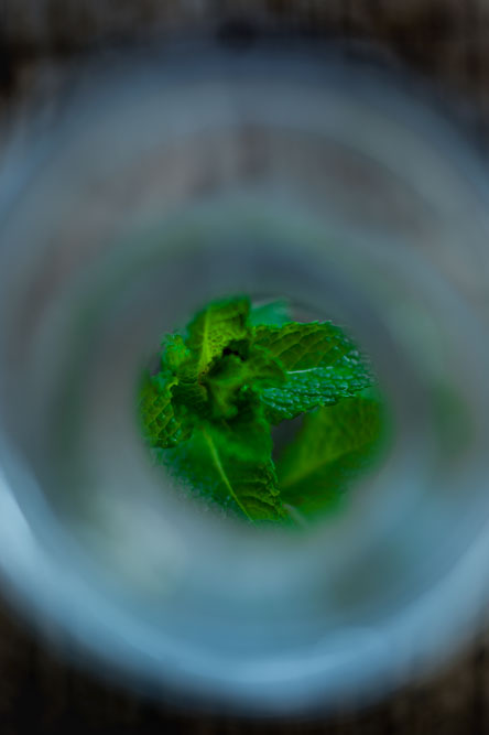 c0108673_2355865.jpg