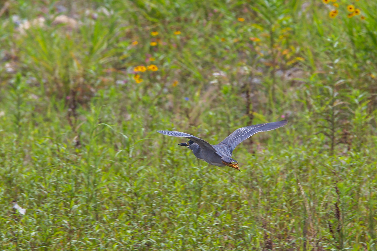 a0052080_12020283.jpg