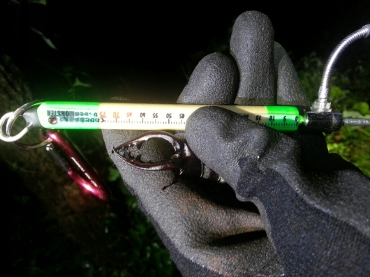 f0183484_06123877.jpg