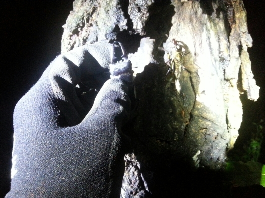 f0183484_06124128.jpg