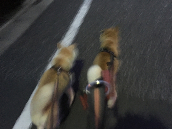 c0123890_19582610.jpg