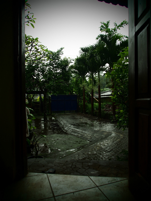 b0161391_10392621.jpg