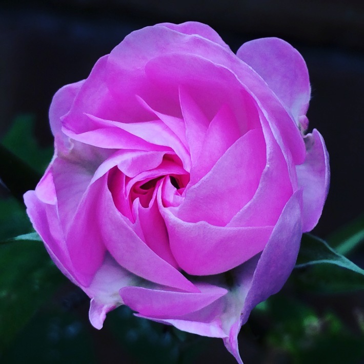 f0201297_10191063.jpg