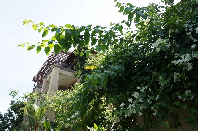 d0337598_20583426.jpg