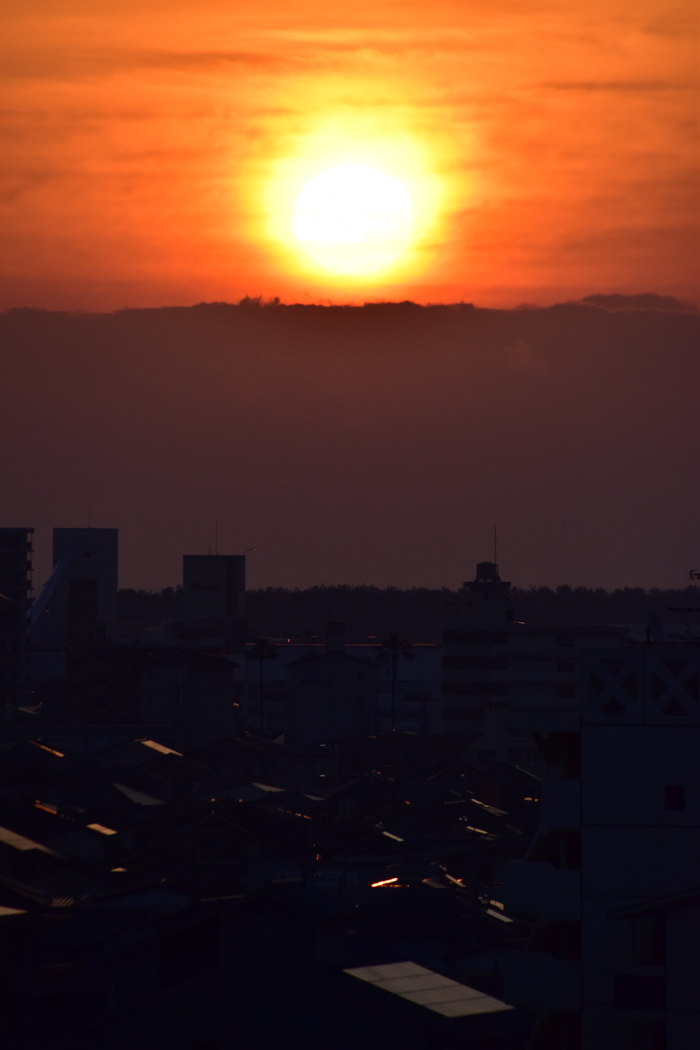 c0049299_22265448.jpg