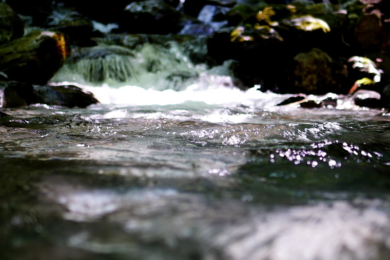 c0339900_09414117.jpg