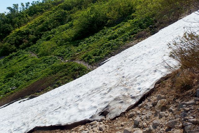 e0137200_20152451.jpg