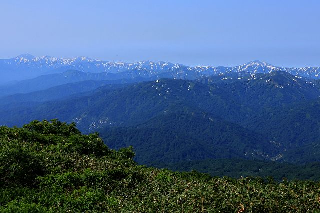 e0137200_2063336.jpg