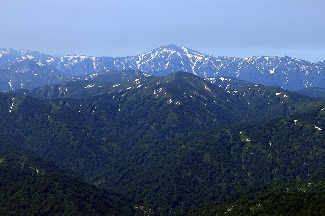 e0137200_2074137.jpg
