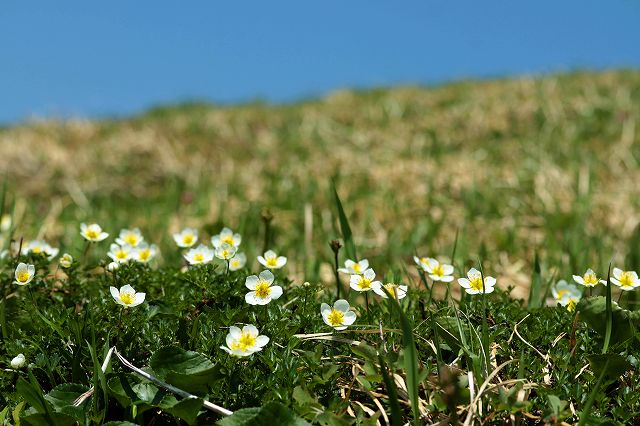 e0137200_2085821.jpg