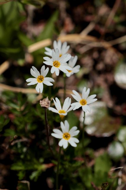 e0137200_2091512.jpg