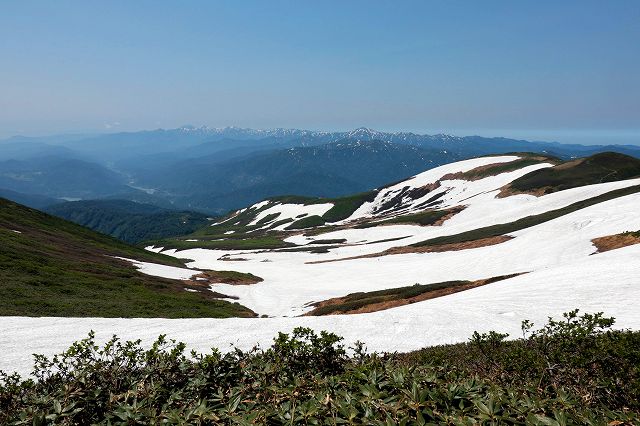 e0137200_2095430.jpg