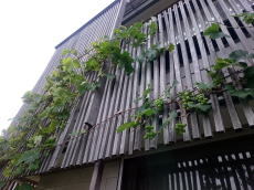 e0107304_08585514.jpg